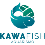 Ren-Brasil-empreendedor-ferramenta-geração-de-novos-negócios-cultura-japonesa-gestão-de-negócios-associados-Kawafish-aquarismo
